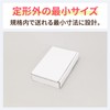 Earth Cardboard Shipping Box for Unregistered Mail, Standard Size, Minimum