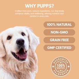 Pupps Hip & Joint Dog Treats - Joint Support, Eases Discomfort, Enhances Mobility with Vet-Recommended Formula Turmeric, Glucosamine & Chondroitin High Strength Natural Dog Treats 120 Chews