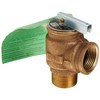 Pentair A0063300 75-PSI Pressure Relief Valve Replacement MT Commercial Pool and Spa Heater