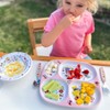 Tyrrell Katz Toddler Divider Plate in Green with 4 Sections