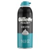 Gillette Foamy Sensitive Shave Foam 14.9oz for Men, Smooth &