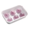 Westmark Crystal Ice Cube Maker - Ice Cube Tray with