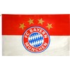 FC Bayern Munich Logo Flag Hissflagge 150 x 250 CM
