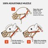 CollarDirect Leather Basket Dog Muzzle for Boxer, English American Bulldog