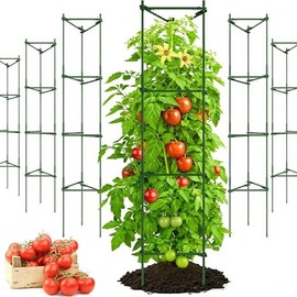 K-Brands Tomato Cage – Premium Tomato Plant Stakes Support Cages Trellis for Garden and Pots (Up to 68 Inches Tall) - Size: 6 Pack, 68 inches