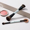 Jessup Kit 2pz Brocha De Maquí De Doble Punta Multiuso,t502