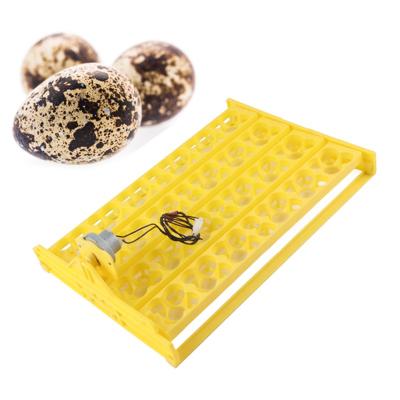 Egg Incubator Egg Tray Small 24 Eggs Four Leaf Flower
