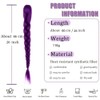 Purple Braided Ponytail Hair Extension, Claw Clip in Synthetic Braid