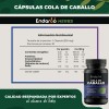 Cola De Caballo