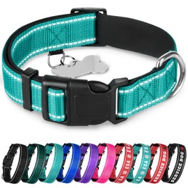 TECEUM Reflective Pet Collar – Teal – XXS – Extra Soft Padding – Basic Nylon Dog Collar – Quick Release Buckle – Fits Small, Medium and Large Dogs, Puppies, Cats – ESA & Service Dog Options