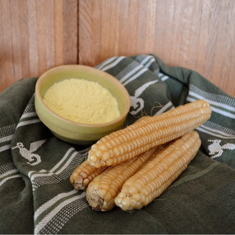 Rhode Island White Cap Flint Corn - 50 Seeds -