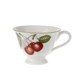 Villeroy & Boch Cascara 7 3/4 oz teacup