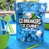 ICE BREAKERS Ice Cubes Peppermint Sugar Free Chewing Gum Pouch,