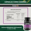 Cardo Mariano 500mg - 90 Cápsulas Por Frasco, Silimarina