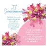 Shampoo Cacahuananche 950ml Nutritivo Fortificante Reparador