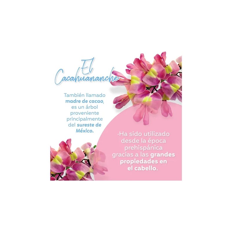 Shampoo Cacahuananche 950ml Nutritivo Fortificante Reparador