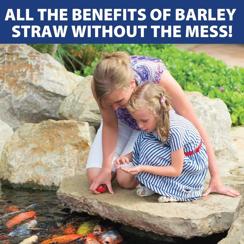 The Pond Guy Barley Extract Natural Liquid Treatment for Ponds