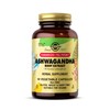 Solgar Ashwagandha Root Extract - 60 Vegetable Capsules - Standardized