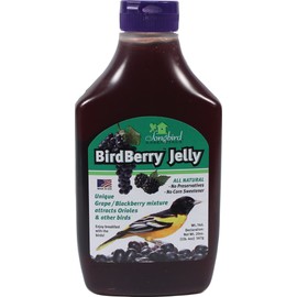 Songbird Essentials 20 Ounce BirdBerry Jelly Squeeze Bottle Bird Feeder Jelly, Grape and Blackberry Jelly Made Just for Birds [Case Pack of 12]