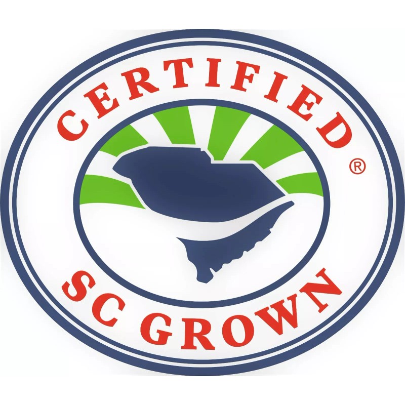 Soda City Greens MOA Scotch Bonnet Pepper Seeds 10+