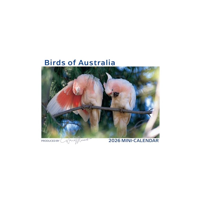2026 Calendar David Messent Birds of Australia Mini Wall MB