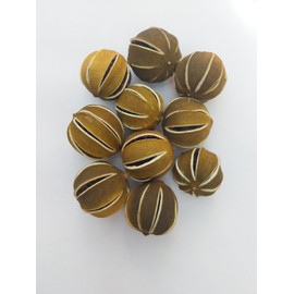 Dried Whole Green Limes, Fresh Citrus Scent, for Table Decorations, Floral Arrangements, Christmas Decorations, Potpourri, Wreaths, Home Decor