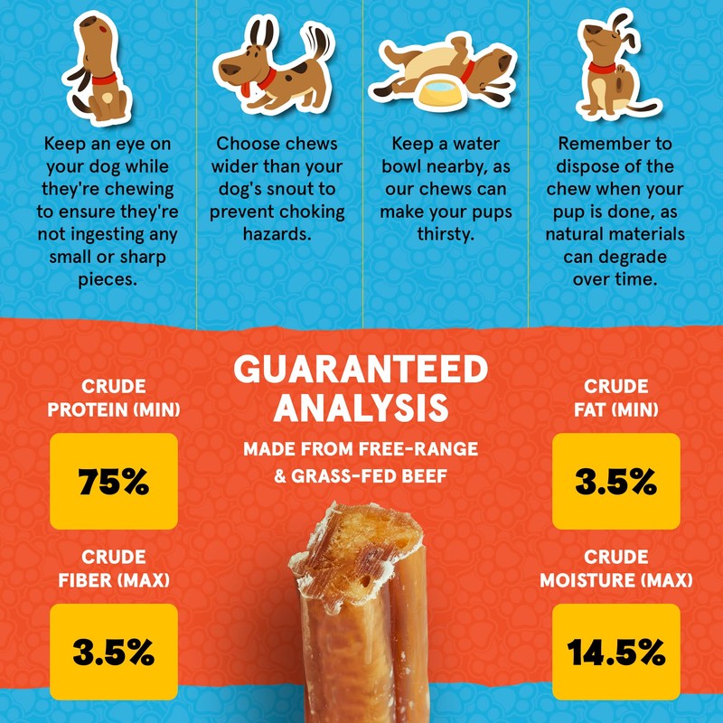 FETCHERONI Jumbo Bully Sticks for Dogs - 100% Beef Premium