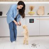 Smart Pet Feeding Tracker with Magnet - Dog Feeding Reminder