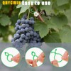 200 Durable Plant Support Clips for Your Garden Needs