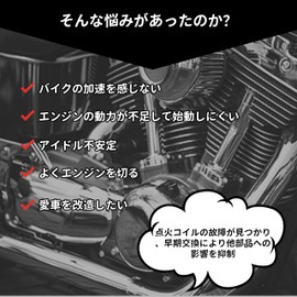 Oattun Ignition Coil 50cc 100cc 150cc 200cc 250cc RG50 Wolf 50 Gag Suzuki Universal Scooter Ignition Coil TS200R DR250R DR-Z400 RM250 Jebel 250 Glass Trucker Big Boy Compatible