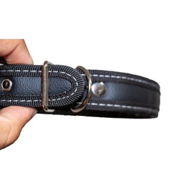 Genérico Collar de Cuero Premium para Perro, Interior de Terciopelo, Resistente, Elegante, Negro, No Irrita la Piel (Mediano).