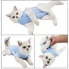 Cat Recovery Suit for Abdominal Wounds or Skin Diseases, Cat