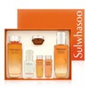 Sulwhasoo Concentrated Ginseng Renewing 2-piece set (new type) Concentrated Ginseng Renewing Water + Concentrated Ginseng Renewing Emulsion -R / 설화수 자음생 2종 세트(신형) 자음생수+자음생유액 -R