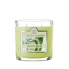 Colonial Candle Cucumber Fresca Scented Jar Candle, 2 Wick, 3.5