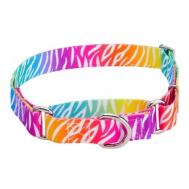 Country Brook Petz - Fashion Zebra Martingale Dog Collar - Animal Prints Collection featuring Wild Designs (5/8 Inch, Small)