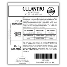 3000+ Premium Culantro Seeds - NGO GAI - AKA Recao, Sawtoothfitweed, Mexican Coriander Herb, Spiritweed, Stinkweed, Duck-Tongue herb, Sawtooth, or Saw-Leaf herb, Long Coriander Seeds