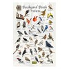 Where's Wildlife Backyard Birds of Indiana Bird Identification Poster (8"