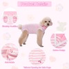 Dog Recovery Suit After Surgery, Surgery Recovery Jumpsuit for Female,