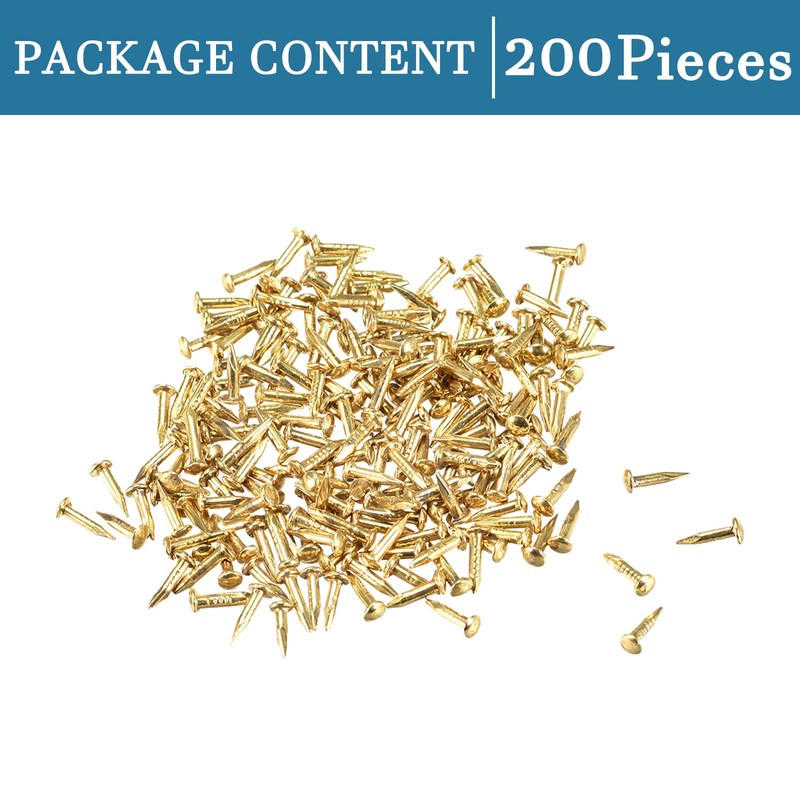 QUARKZMAN 1.2 x 6 mm Tiny Nails x 200 Pieces
