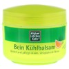 Dr. Theiss Naturwaren GmbH Latschenkiefer Bein Kühlbalsam, 200 ml