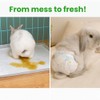 Leakproof Rabbit Diapers – Disposable Bunny Pet Diaper for Small