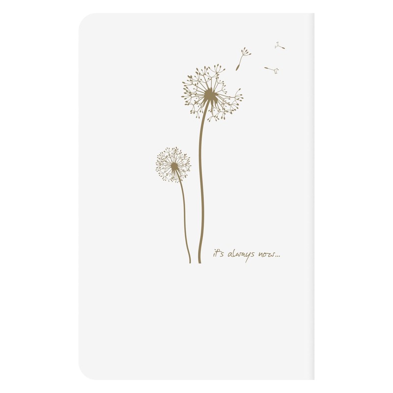Clairefontaine Flying Spirit 104596C Notebook 9 x 14 cm 48