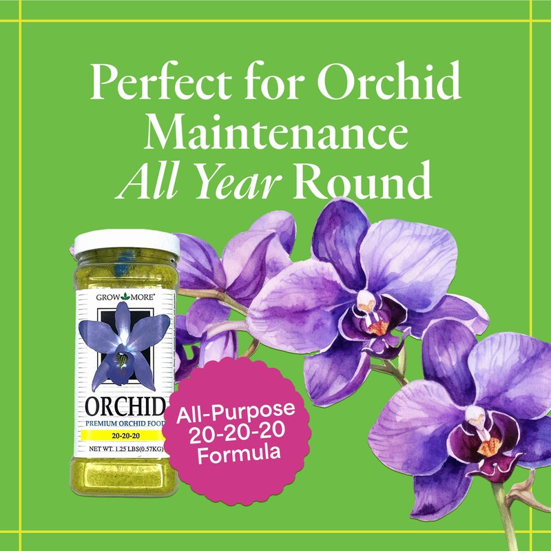Grow More All Purpose Orchid Fertilizer 20-20-20 for Soil Maintenence