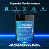 6V 4.5Ah LiFePO4 Battery, Intelligent BMS Rechargeable Lithium Iron Phosphate
