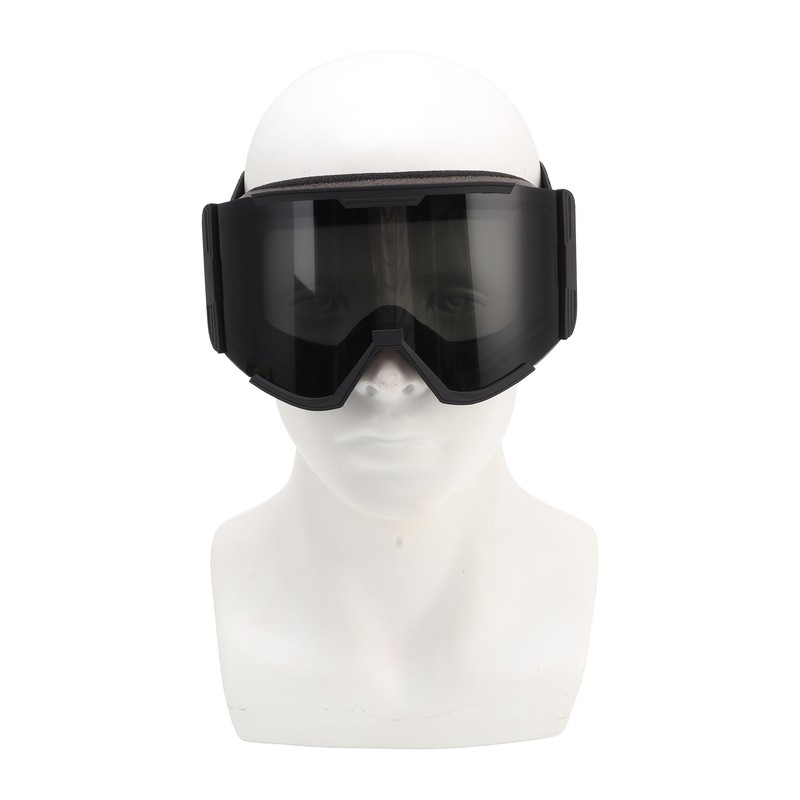 Adult Ski Goggles Double Layer Anti Fog Large Field Cylindrical