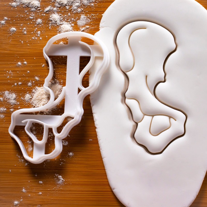 Set of 3 Cookie Cutters (Hip, Thigh & Shin Bones)