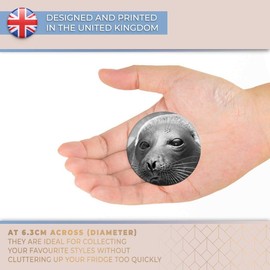 Destination Vinyl ltd Magnet for Refrigerator, Fridge BW - Cute Grey Seal Face Russia for Office, Cabinet and Whiteboard, Magnetic Stickers, 39443