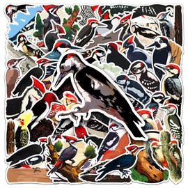 Woodpecker Stickers 50 Pcs Waterproof Cartoon Bird Sticker for Water Bottles Skateboard Laptop Scrapbook Computer Phone Notebook Bumper Car,Vinyl Cute Animals Sticker for Kids Teens