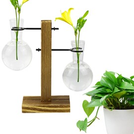 Propagation Vases for Plants | Propagate Plant Holder Test Tube Hydroponic Rack with Wooden Stand - Flower Rack Hydroponic Container Vase Jars for Women, Mom, Home