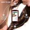 Klorane Shampoo with Quinine and B Vitamins for Thinning Hair,